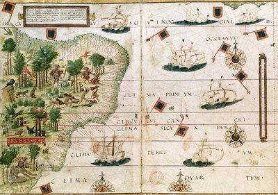 ペドロレイネルの「ミラーアトラス」からのブラジル、1519年頃（詳細は199955を参照） 作： Portuguese School